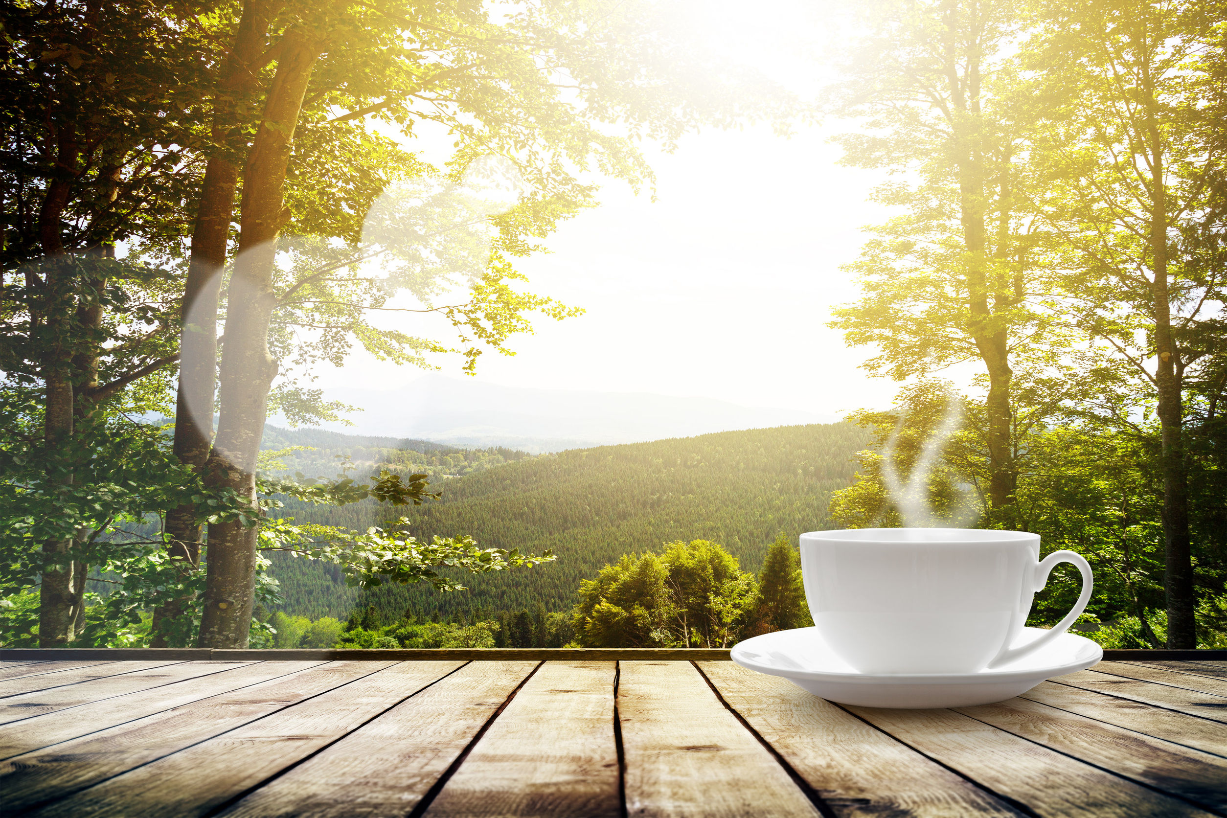 37670815 - cup with tea on table over mountains landscape with sunlight. beauty nature background