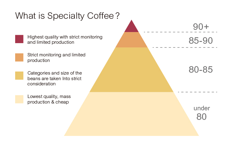 iscc-specialty-coffee