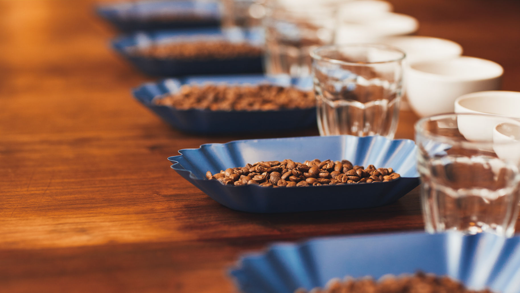 54726090 - row of blue containers with fresh roatsed coffee beans alongside coffee cups and water glasses on a wooden table ready for a tasting