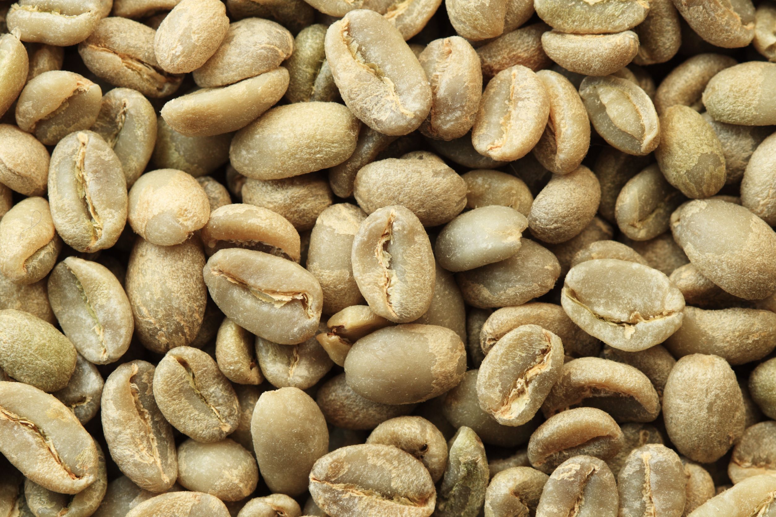 9312116 - ethiopian organic yirga cheffe green coffee beans macro